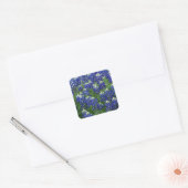 Texas Bluebonnets Field Photo Vierkante Sticker (Envelop)