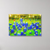 Texas Bluebonnets Field Rustieke Blauwe Wildbloeme Canvas Afdruk (Voorkant)