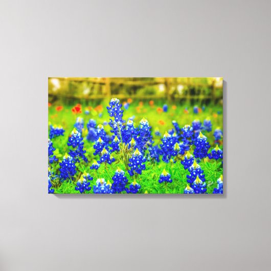 Texas Bluebonnets Field Rustieke Blauwe Wildbloeme Canvas Afdruk (Voorkant)