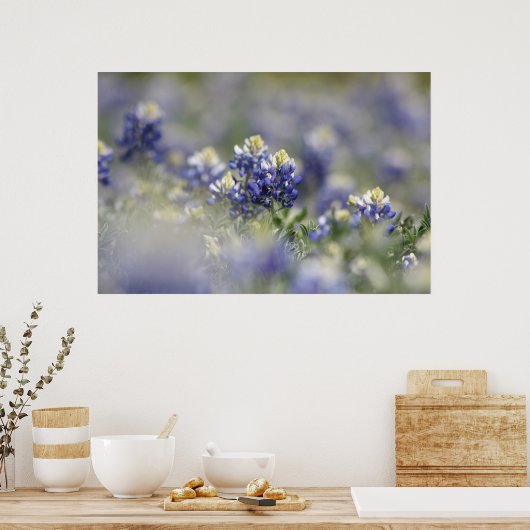 Texas Bluebonnets Fotograaf #5 Poster (Keuken)