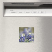 Texas Bluebonnets Fotograaf #7 Magneet (Insitu (Vaatwasser))