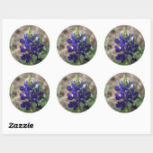 Texas Bluebonnets Fotograaf #9 Ronde Sticker (Vel)