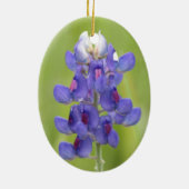 Texas Bluebonnets Happy Easter Egg Ornament (Achterkant)