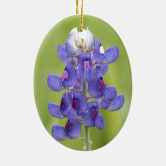 Texas Bluebonnets Happy Easter Egg Ornament (Achterkant)