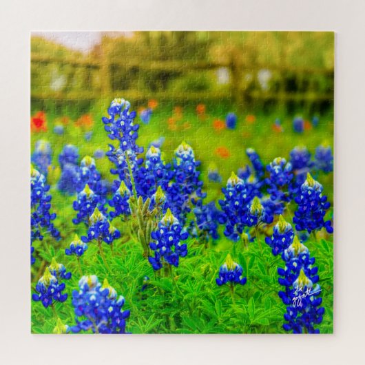 Texas Bluebonnets Indian Floral Natuur Travel Legpuzzel (Horizontaal)