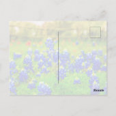 Texas Bluebonnets Indian PaintBrusal Briefkaart (Achterkant)