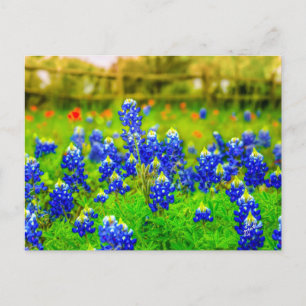 Texas Bluebonnets Indian PaintBrusal Briefkaart