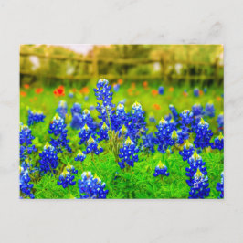 Texas Bluebonnets Indian PaintBrusal Briefkaart