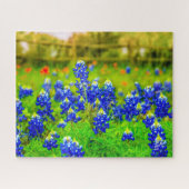 Texas Bluebonnets Indian PaintBrusal Legpuzzel (Horizontaal)