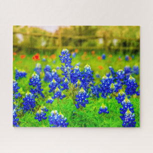 Texas Bluebonnets Indian PaintBrusal Legpuzzel