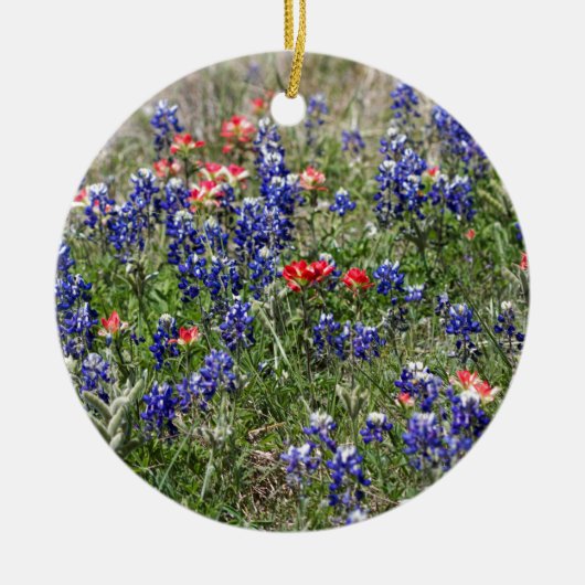 Texas Bluebonnets & Indian PaintBrusm Wildflower Keramisch Ornament (Voorkant)