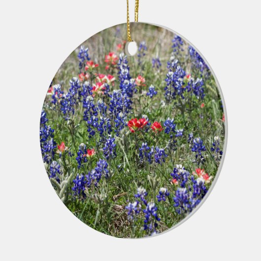 Texas Bluebonnets & Indian PaintBrusm Wildflower Keramisch Ornament (Links)