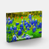 Texas Bluebonnets Indiande naam van de Paintpensfa Fotoblokken (Links)