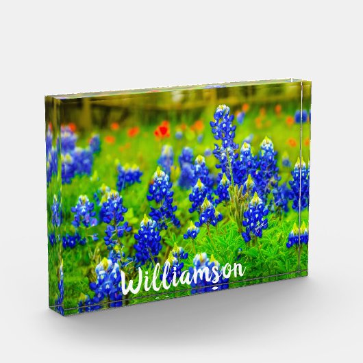 Texas Bluebonnets Indiande naam van de Paintpensfa Fotoblokken (Links)