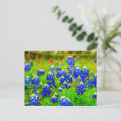 Texas Bluebonnets Indiase verfkwast Briefkaart (Staand voorkant)