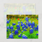 Texas Bluebonnets Indiase verfkwast Briefkaart (Voorkant / Achterkant)