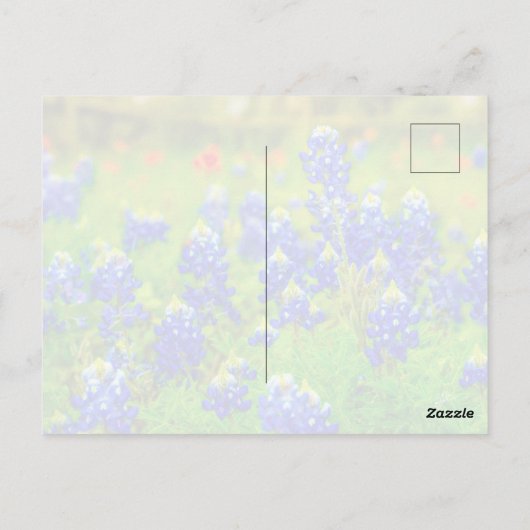 Texas Bluebonnets Indiase verfkwast Briefkaart (Achterkant)