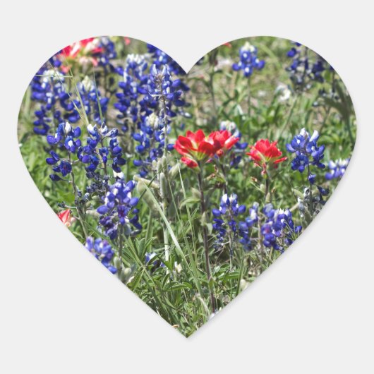 Texas Bluebonnets & Indiase verfkwast Wildbloemen Hart Sticker (Voorkant)