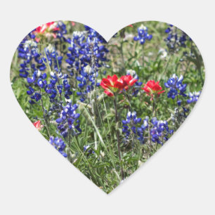 Texas Bluebonnets & Indiase verfkwast Wildbloemen Hart Sticker