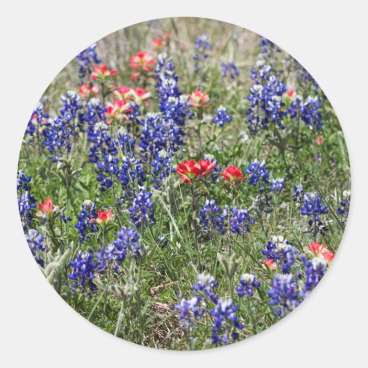 Texas Bluebonnets & Indiase verfkwast Wildbloemen Ronde Sticker (Voorkant)