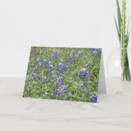 Texas Bluebonnets Kaart