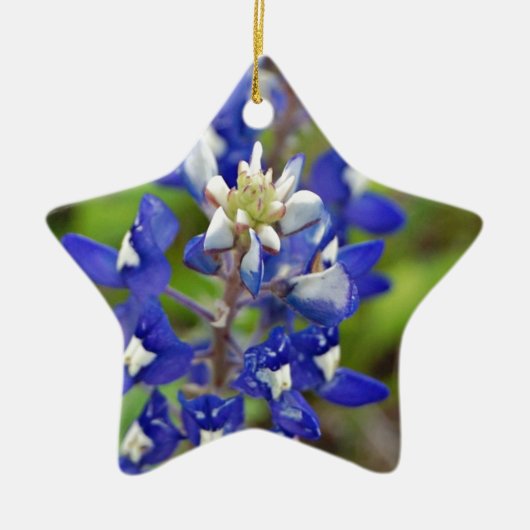 Texas Bluebonnets Keramisch Ornament (Voorkant)