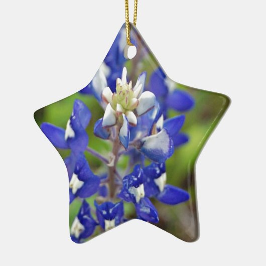Texas Bluebonnets Keramisch Ornament (Links)