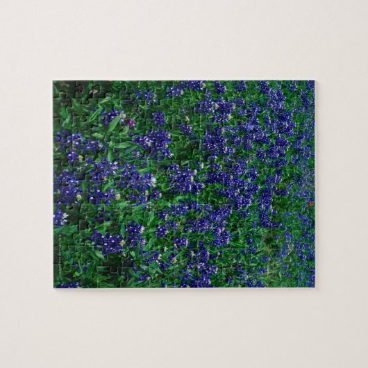 Texas Bluebonnets Legpuzzel (Horizontaal)