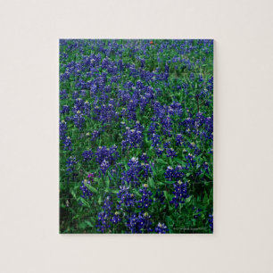 Texas Bluebonnets Legpuzzel