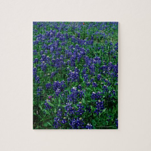 Texas Bluebonnets Legpuzzel (Verticaal)
