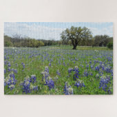 Texas Bluebonnets Legpuzzel (Horizontaal)