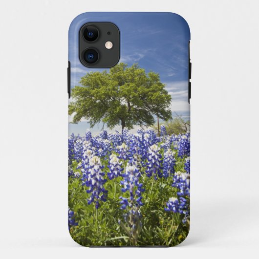 Texas bluebonnets (lupinus texensis) en eik Case-Mate iPhone case (Achterkant)