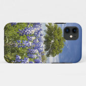 Texas bluebonnets (lupinus texensis) en eik Case-Mate iPhone case (Achterkant (horizontaal))