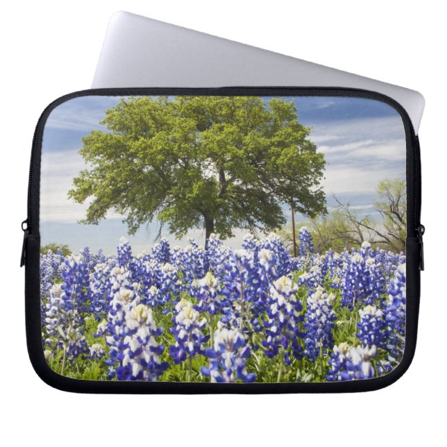 Texas bluebonnets (lupinus texensis) en eik laptop sleeve (Voorkant)