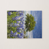 Texas bluebonnets (lupinus texensis) en eik legpuzzel (Horizontaal)