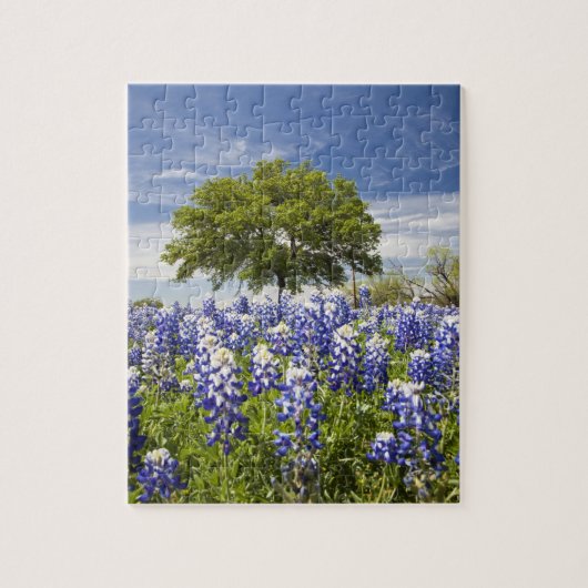 Texas bluebonnets (lupinus texensis) en eik legpuzzel (Verticaal)