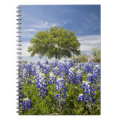 Texas bluebonnets (lupinus texensis) en eik notitieboek (Voorkant)