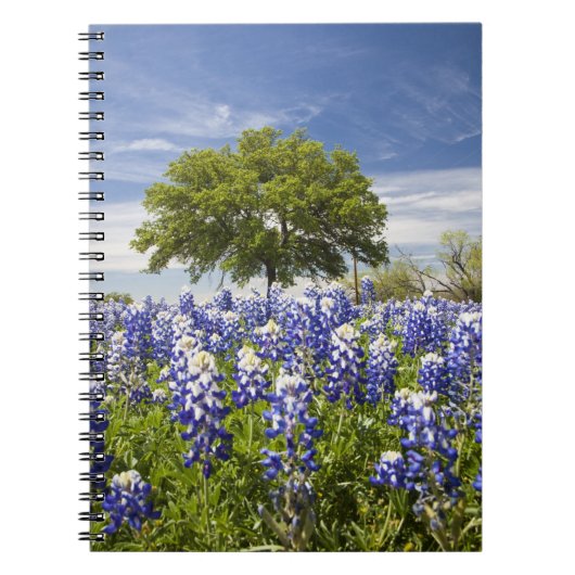 Texas bluebonnets (lupinus texensis) en eik notitieboek (Voorkant)