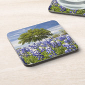 Texas bluebonnets (lupinus texensis) en eik onderzetter (Linkerzijde)