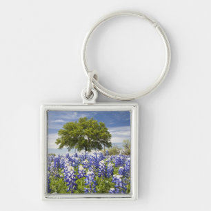 Texas bluebonnets (lupinus texensis) en eik sleutelhanger