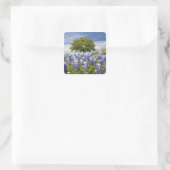 Texas bluebonnets (lupinus texensis) en eik vierkante sticker (Tas)