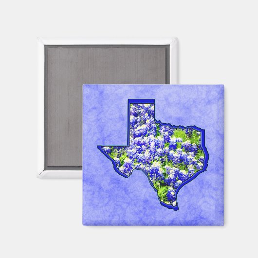 TEXAS BLUEBONNETS MAGNEET (Voorkant / Achterkant)