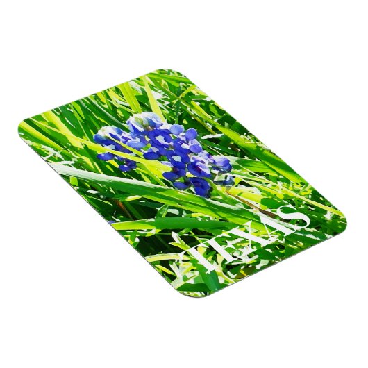 Texas Bluebonnets Magnet Magneet (Rechterzijde)