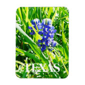 Texas Bluebonnets Magnet Magneet (Verticaal)