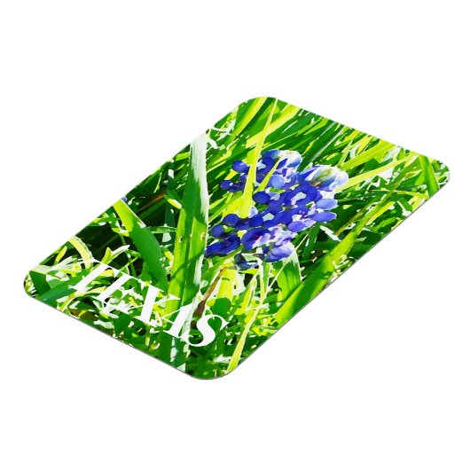 Texas Bluebonnets Magnet Magneet (Linkerzijde)