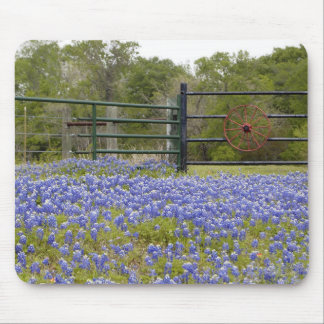 Texas Bluebonnets Muismat