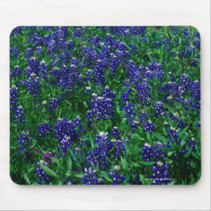 Texas Bluebonnets Muismat