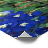 Texas Bluebonnets & Paintborstel Flowers Art Print (Hoek)