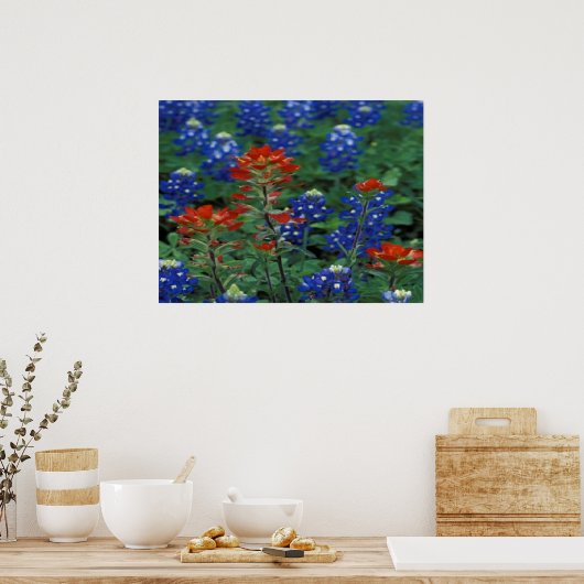 Texas Bluebonnets & Paintborstel Flowers Art Print (Keuken)