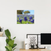 Texas Bluebonnets Poster (Thuiskantoor)